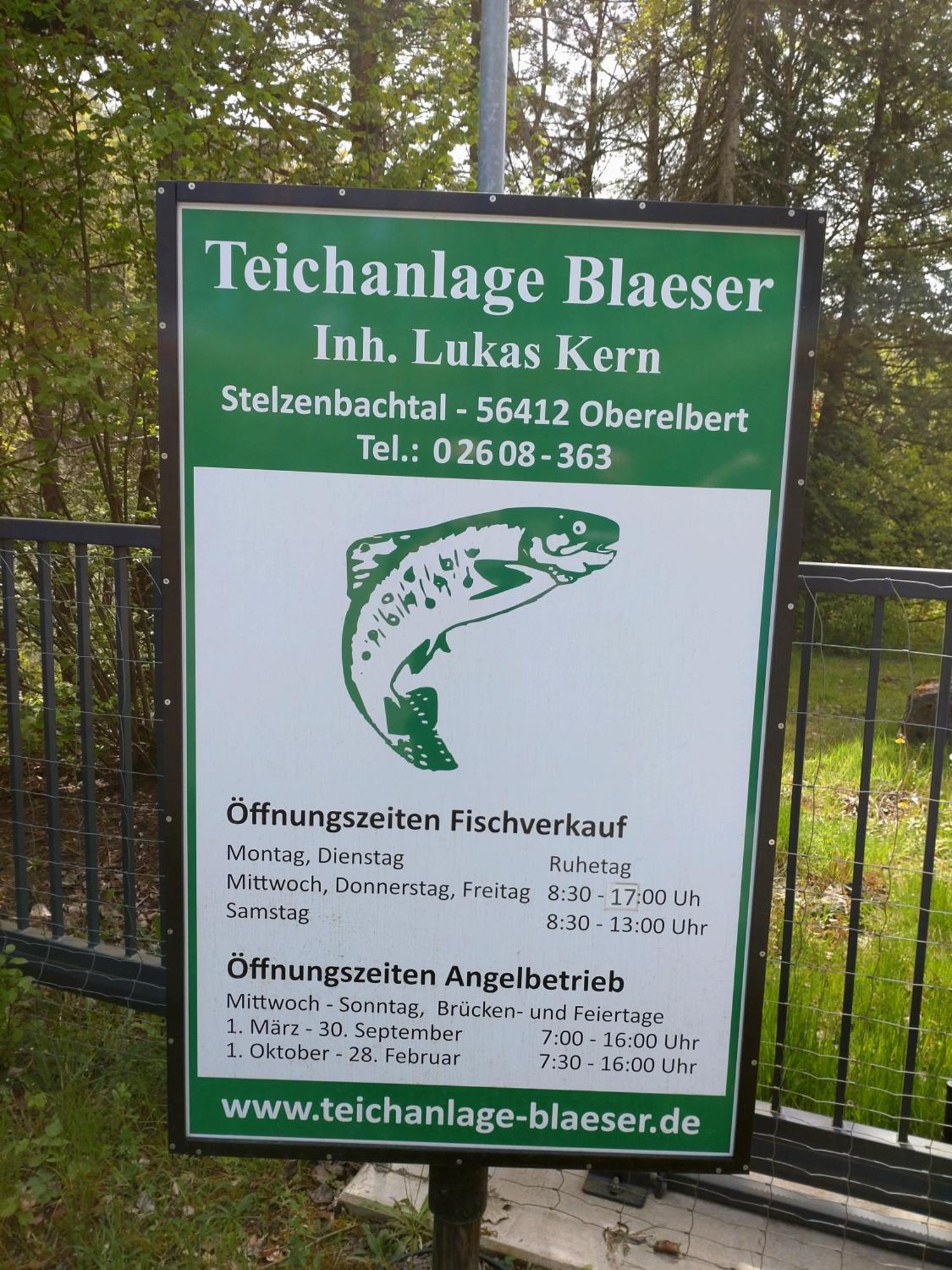 Gaestezimmer M. Schubert Oberelbert ภายนอก รูปภาพ