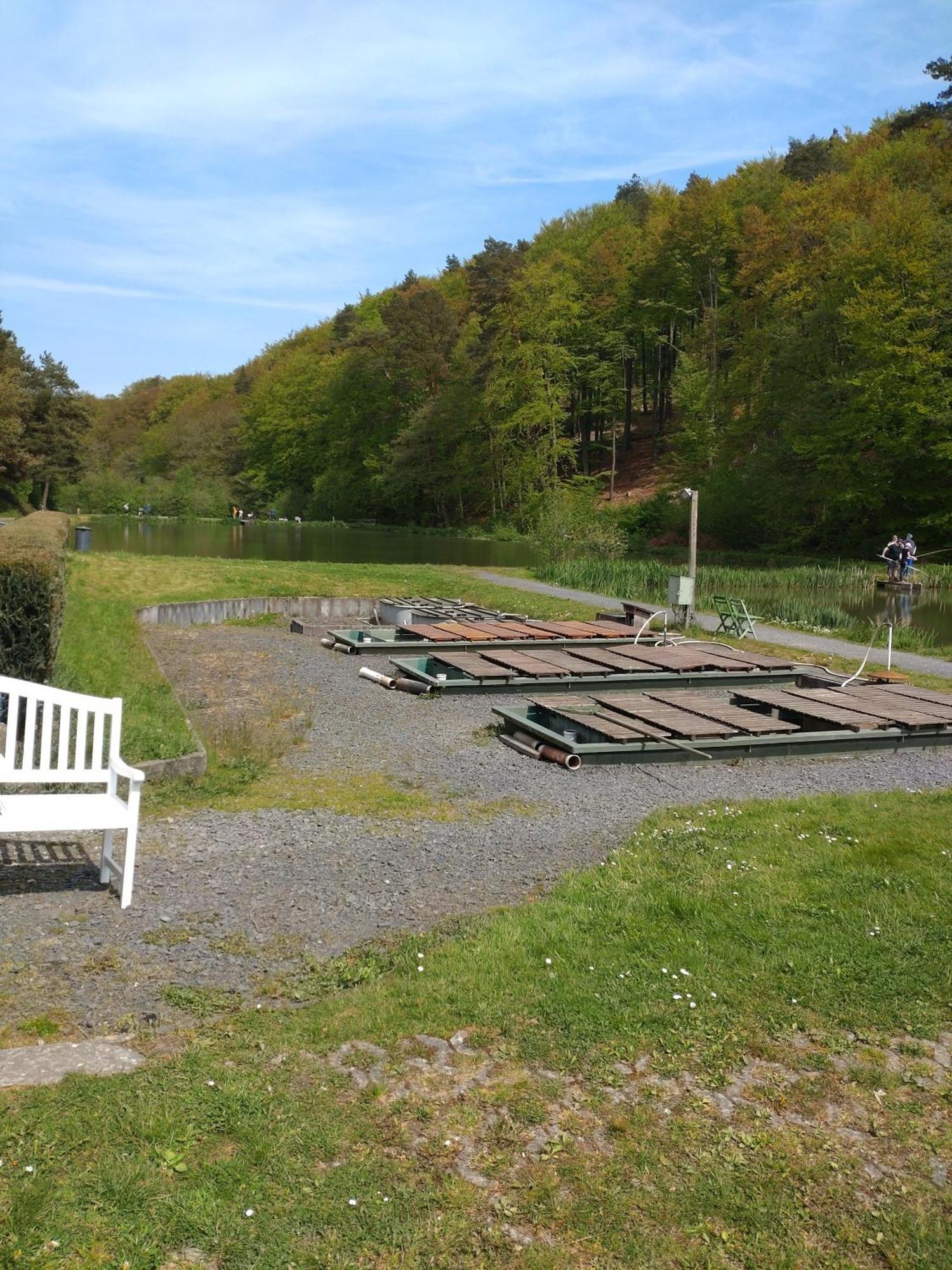 Gaestezimmer M. Schubert Oberelbert ภายนอก รูปภาพ